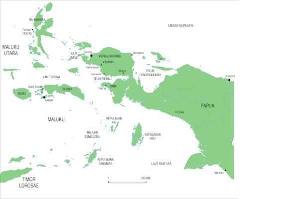 Kondisi Geografis Pulau Papua Dan Maluku Berdasarkan Peta Kita